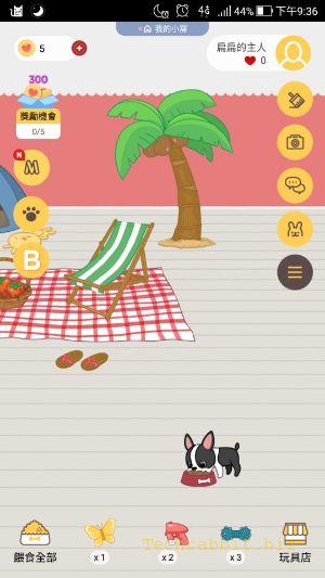 《寵物App》Hellopet - 飼養在我掌心上的寵物！APP 免費下載