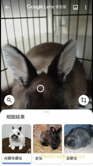 【Google智慧鏡頭 App教學】靠鏡頭辨識各種物品、動物植物、翻譯文字（Android）