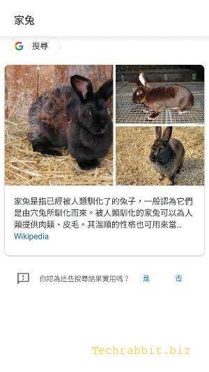 【Google智慧鏡頭 App教學】靠鏡頭辨識各種物品、動物植物、翻譯文字（Android）