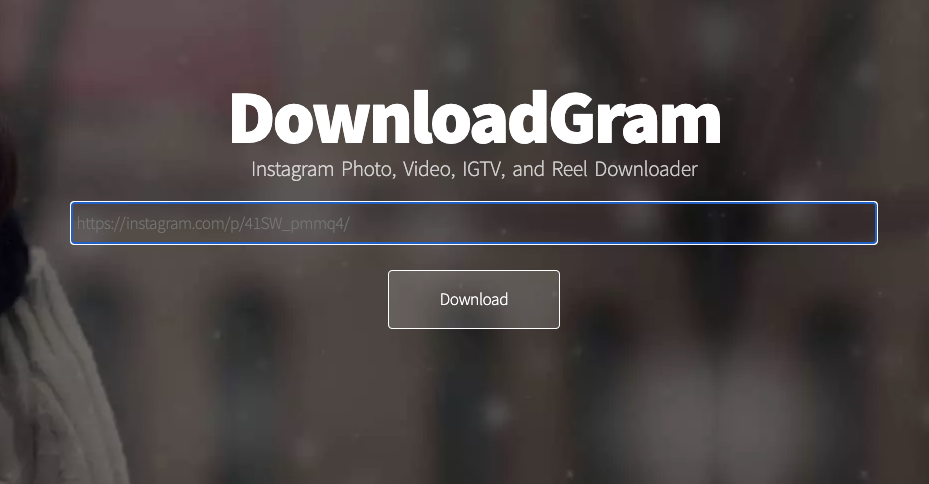 Downloadgram 下載 IG 照片圖片、影片到電腦！教學