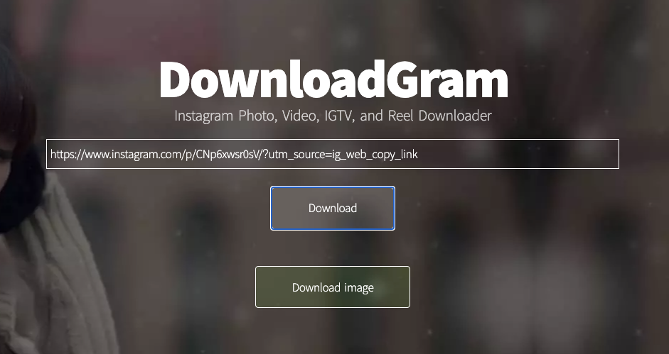 Downloadgram 下載 IG 照片圖片、影片到電腦！教學