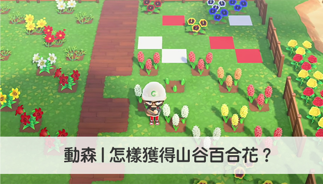 動森 怎樣獲得山谷百合花 動物森友會教學 科技兔 動森 怎樣獲得山谷百合花 動物森友會教學 科技兔