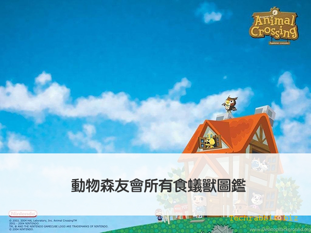 動森食蟻獸 有美 貴妃 阿誠 動物森友會所有食蟻獸圖鑑 科技兔 動森食蟻獸 有美 貴妃 阿誠 動物森友會所有食蟻獸圖鑑 科技兔