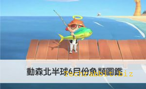 動森6月份魚類圖鑑 | 北半球含價格、出沒時間、出沒地點