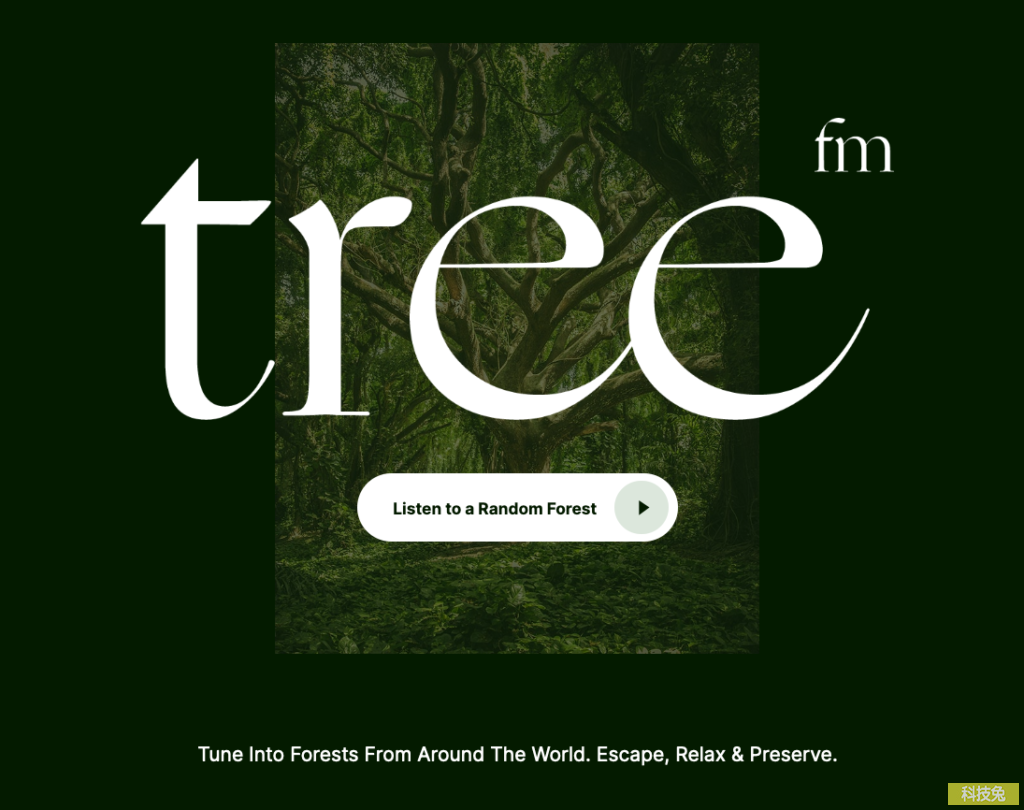 tree.fm 樹林深山大自然音樂，可當背景音，支援CC授權