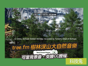 tree.fm 樹林深山大自然音樂，可當背景音，支援CC授權
