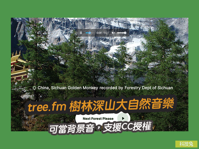 tree.fm 樹林深山大自然音樂，可當背景音，支援CC授權