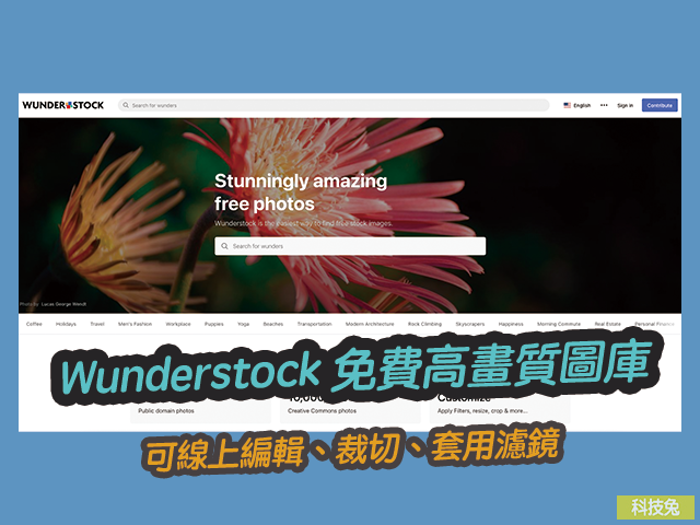 Wunderstock 免費高畫質圖片圖庫下載！可線上編輯、裁切、套用濾鏡