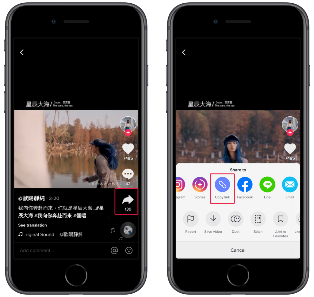 Tiktokfull 下載抖音Tiktok 影片、音檔，無浮水印高畫質