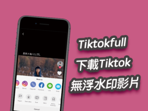 Tiktokfull 下載抖音Tiktok 影片、音檔，無浮水印高畫質