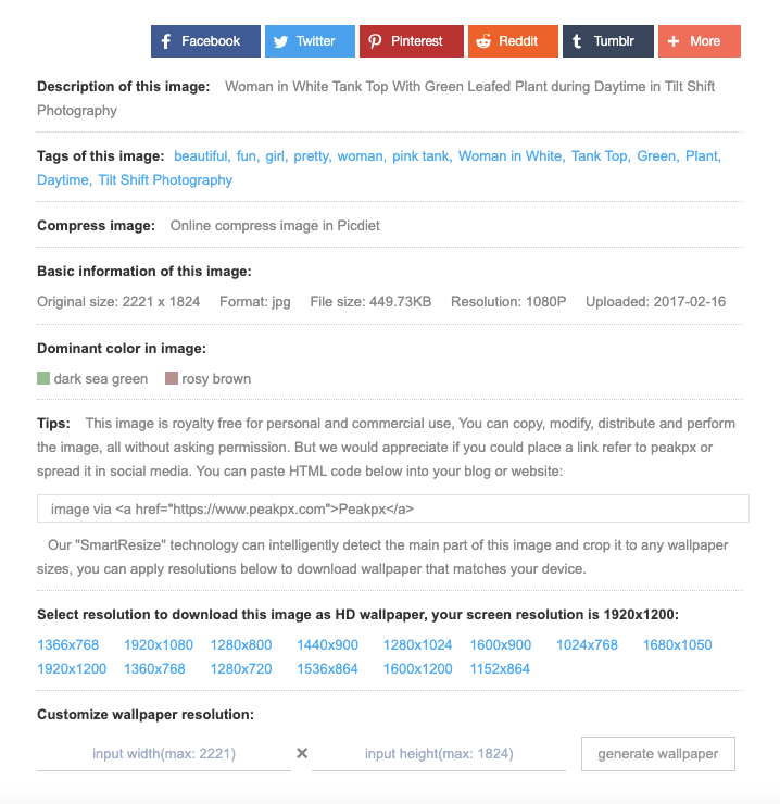 Peakpx 高解析度尺寸圖片免費下載