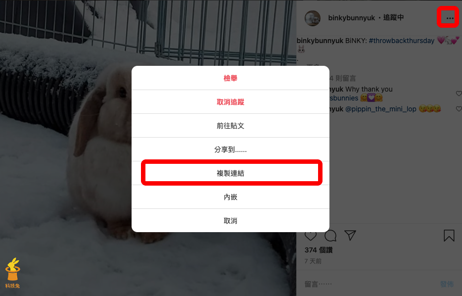 SaveInsta 下載 IG 圖片照片