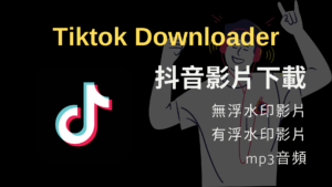 Tiktok Downloader 下載抖音高畫質影片，無浮水印、支援音頻！免費下載