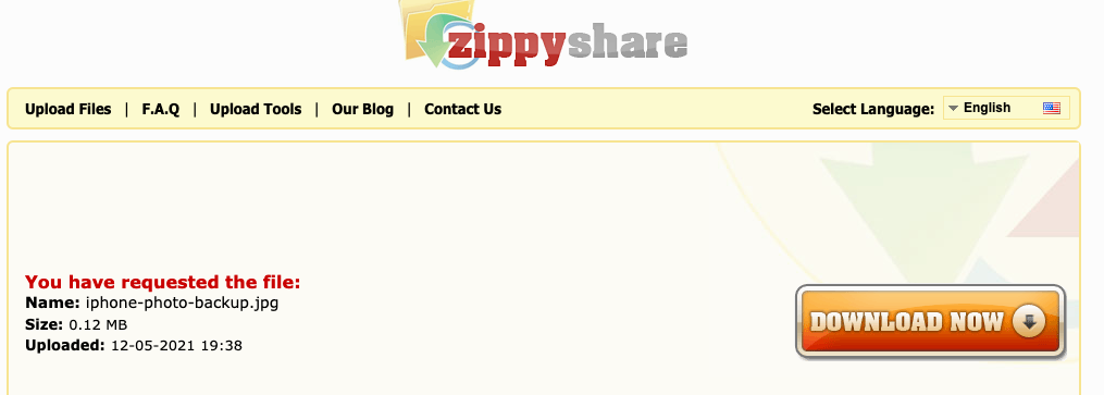 Zippyshare：下載檔案