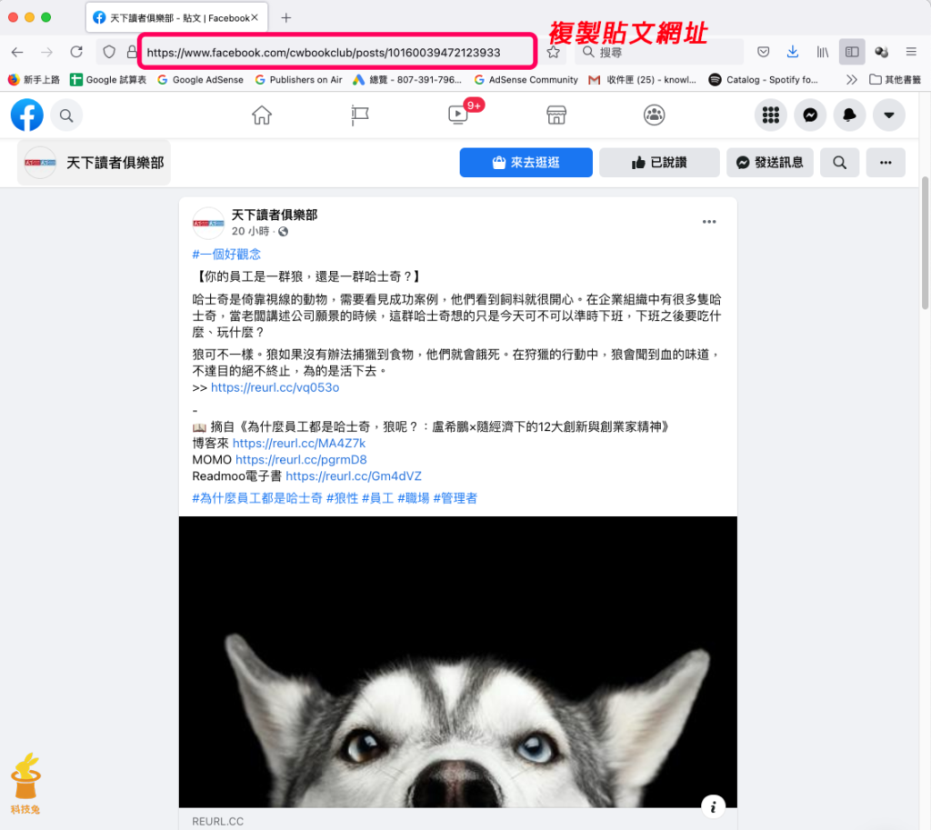 臉書電腦版複製貼文連結網址