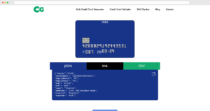 Credit-Card-Generator5