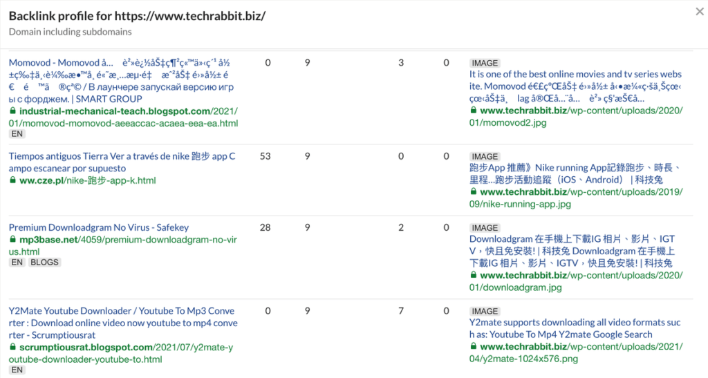 Backlink Checker 列出反向連結