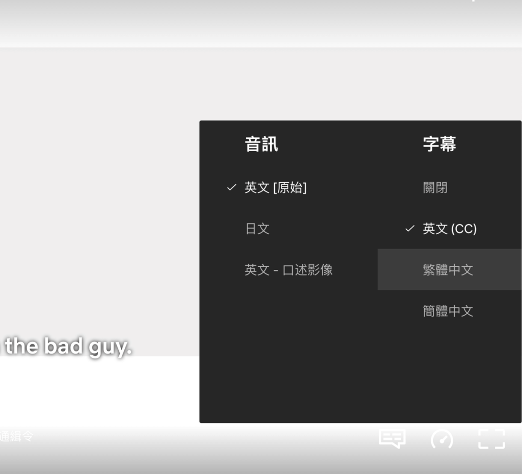 Two Captions for YouTube & Netflix：免費 Netflix 雙字幕 Chrome 外掛