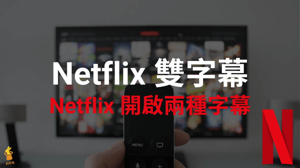 Netflix 雙字幕