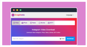 SnapInsta 網頁 IG 下載器
