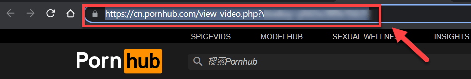 Pornhub 下載：一鍵下載高畫質 HD Pornhub 高清影片工具推薦！