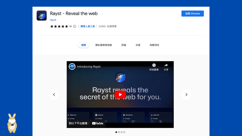 Rayst 顯示網站背後的技術服務與流量