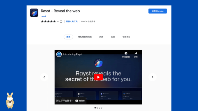 Rayst 顯示網站背後的技術服務與流量