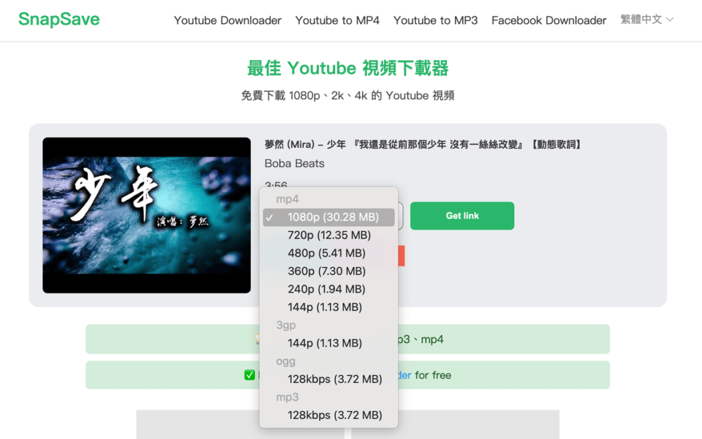 SnapSave 優質 YouTube 影片下載器，支援1080P高畫質跟音頻MP3下載