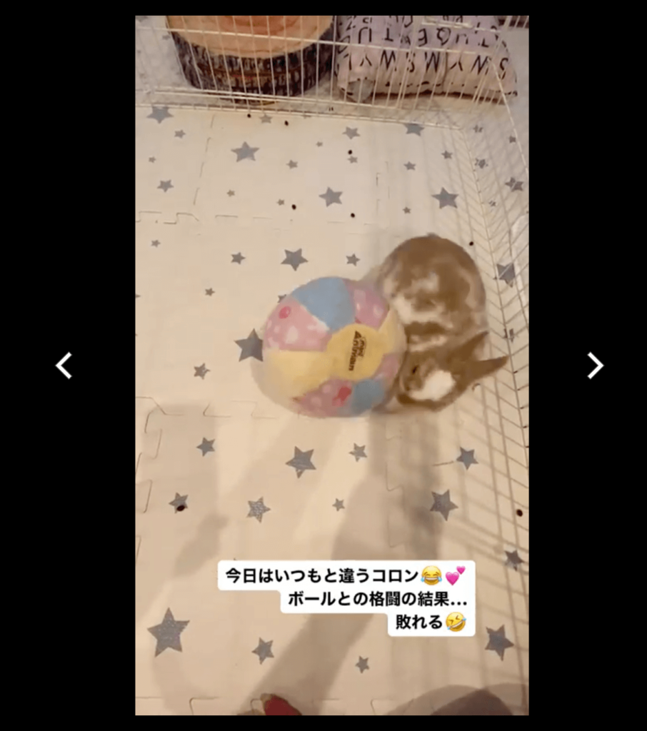 Ghost Viewer 匿名觀看 IG 限時動態不留任何紀錄,私人帳號也可以 Ghost Viewer 匿名觀看 IG 限時動態不留任何紀錄,私人帳號也可以