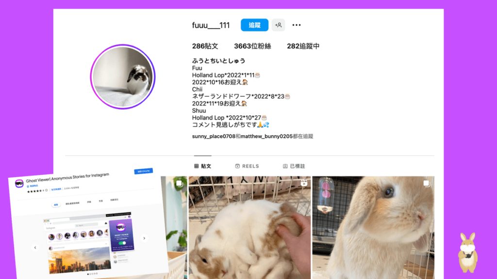 Ghost Viewer 匿名觀看 IG 限時動態不留任何紀錄