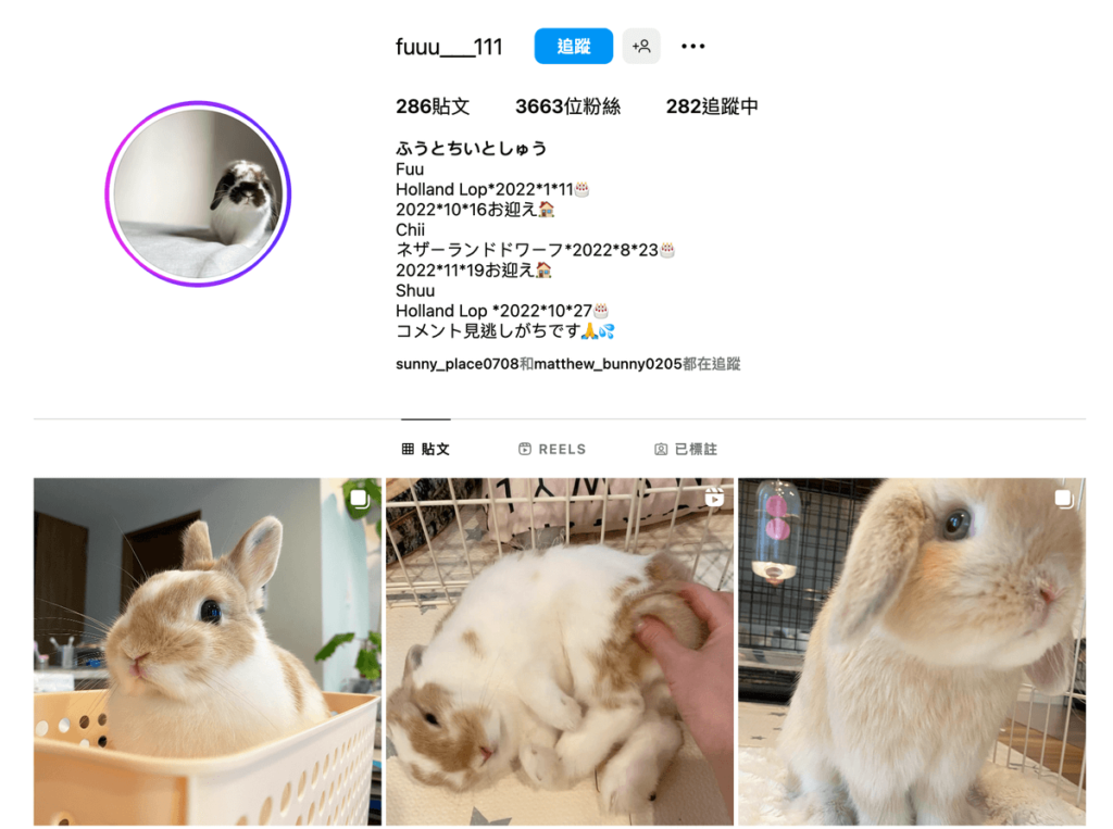 Ghost Viewer 匿名觀看 IG 限時動態不留任何紀錄,私人帳號也可以 Ghost Viewer 匿名觀看 IG 限時動態不留任何紀錄,私人帳號也可以