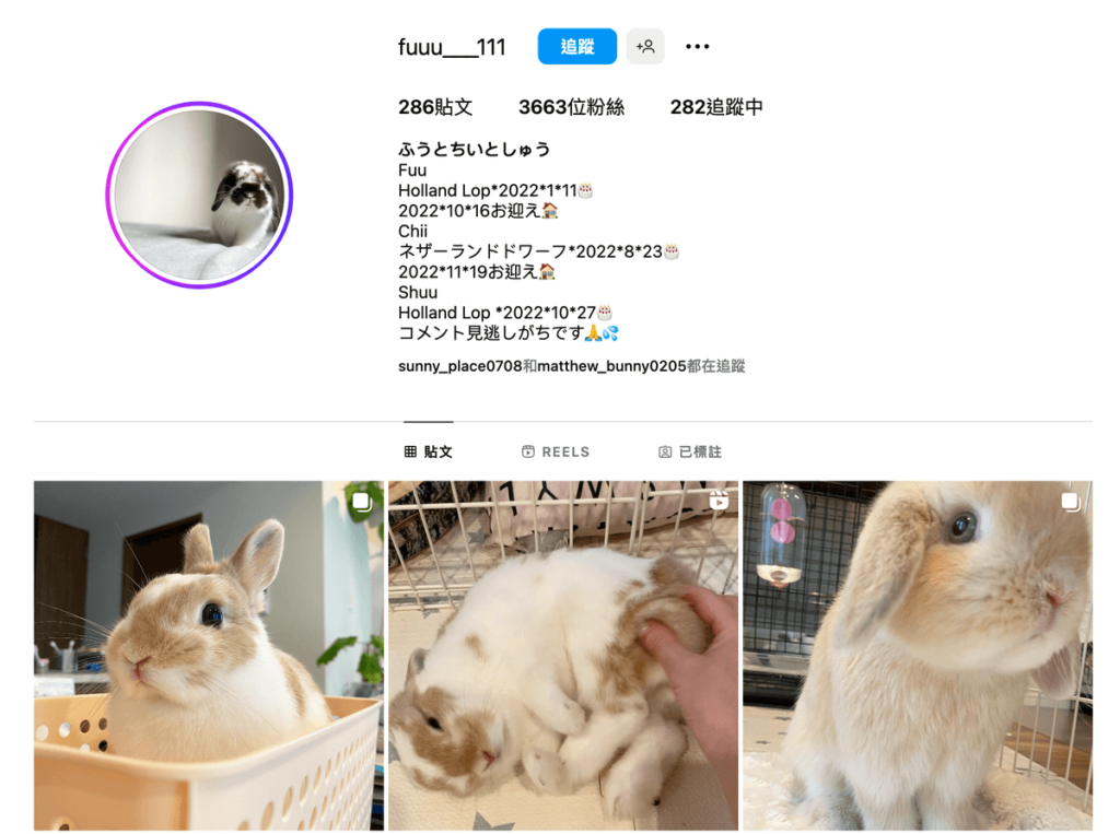 Ghost Viewer 匿名觀看 IG 限時動態不留任何紀錄，私人帳號也可以