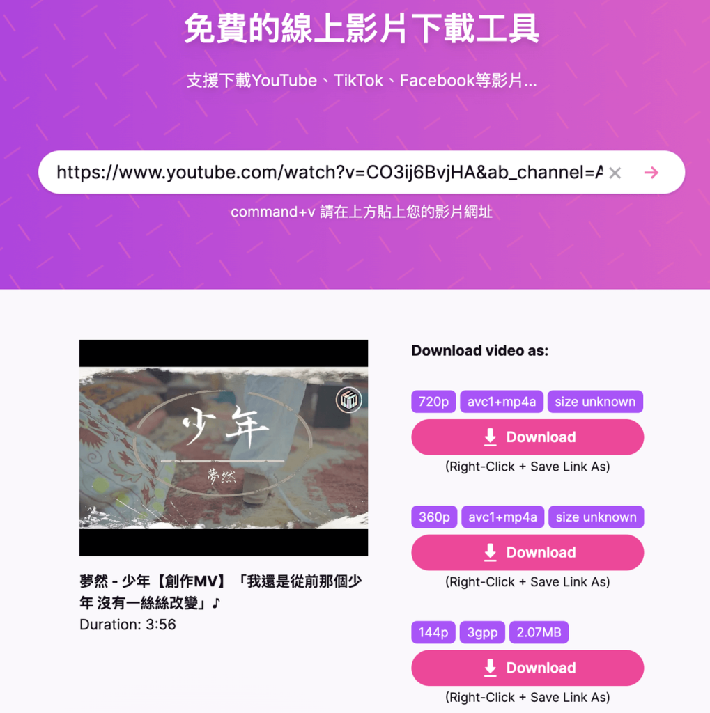 SaveYT 線上下載 YouTube 和 TikTok 影片的免費影片下載工具