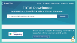 SaveTT 一鍵下載抖音tiktok 無浮水影片