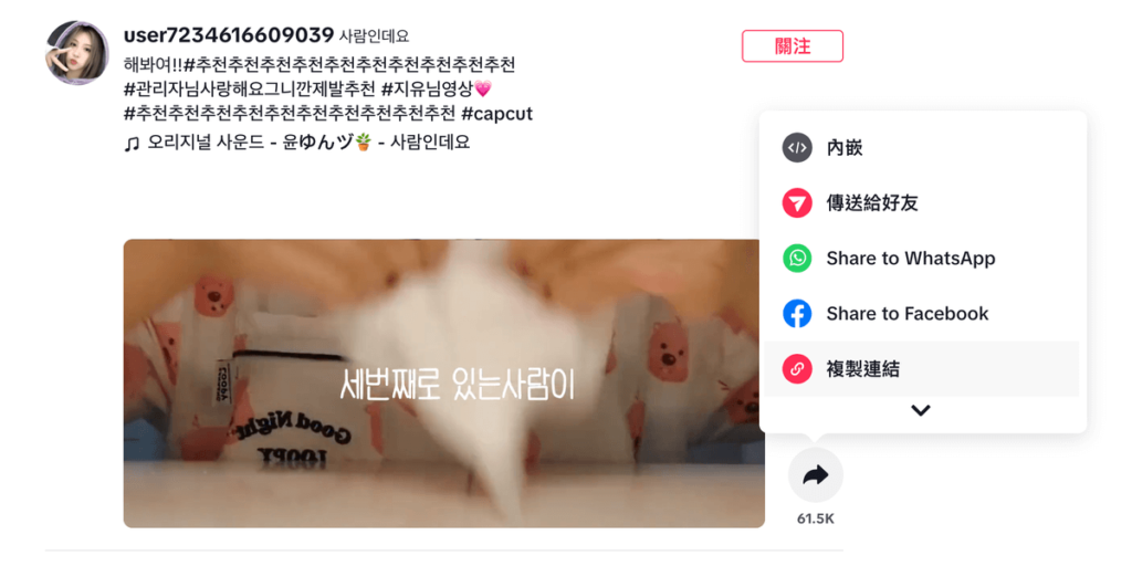 SnapTik 免費抖音影片下載工具,Tiktok 無浮水印高畫質影片下載 SnapTik 免費抖音影片下載工具,Tiktok 無浮水印高畫質影片下載