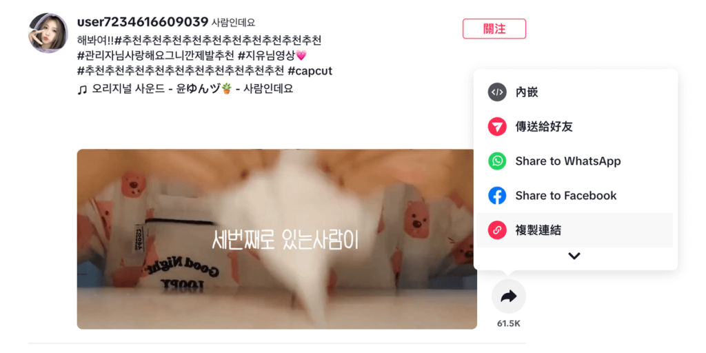 SnapTik 免費抖音影片下載工具，Tiktok 無浮水印高畫質影片下載