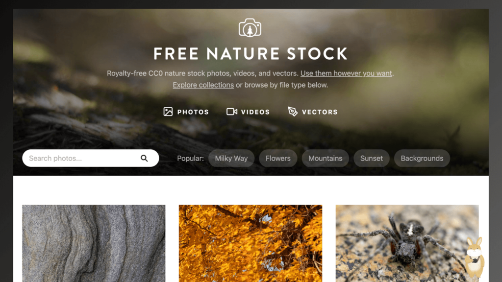 Free Nature Stock 高畫質圖庫圖片免費下載