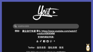 Yout 將 YouTube 影片轉成 MP3/MP4下載