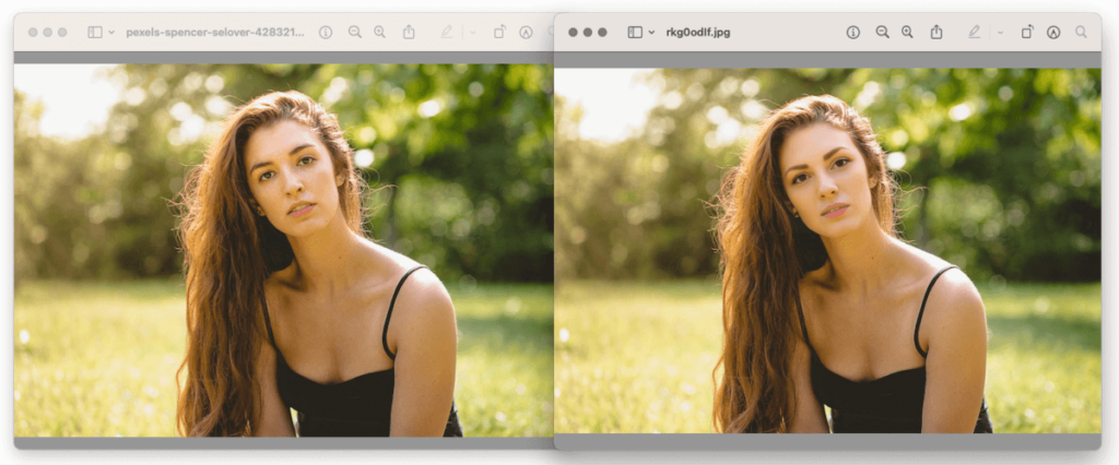 FaceSwapper 免費線上 AI 照片換臉網站，兩張照片換臉無浮水印！免安裝APP