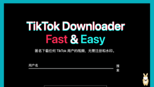Tiker 線上匿名下載抖音 TikTok 無浮水印影片與大頭照