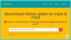 ttdown 一鍵下載 TikTok 抖音影片，線上轉 MP3 與 MP4 下載