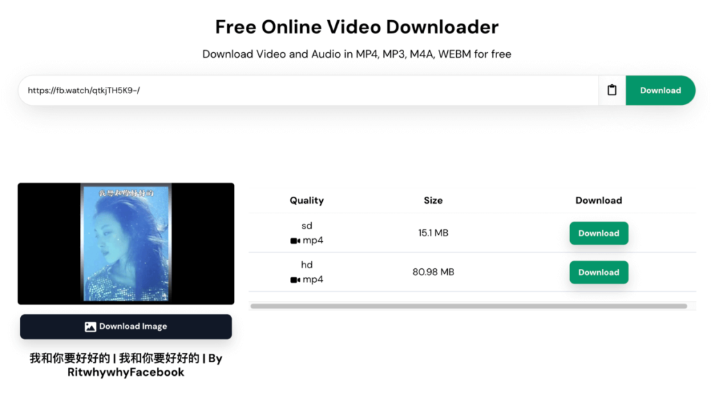 AnyDownloader 免費線上下載社交網站影片，包括臉書、Instagram、抖音Tiktok、Threads