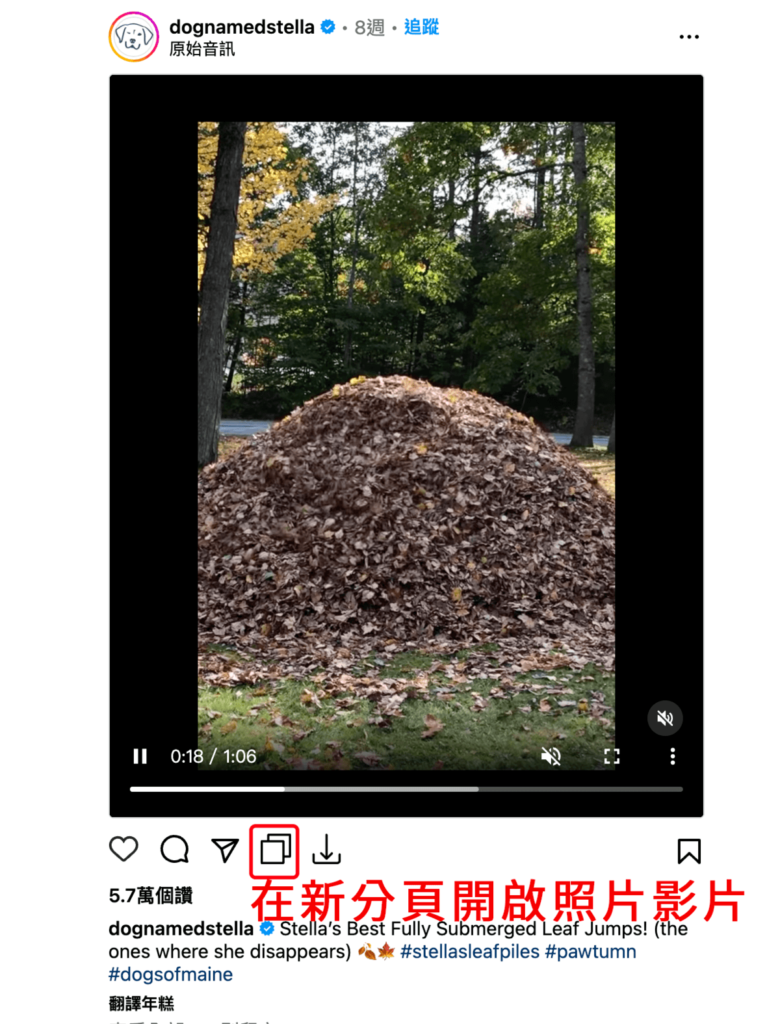 Media Resources Enhancer 替 IG 網頁版新增下載按鈕，可下載 IG 影片照片、限動跟大頭貼照片