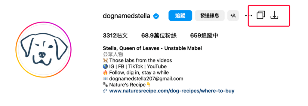 Media Resources Enhancer 替 IG 網頁版新增下載按鈕，可下載 IG 影片照片、限動跟大頭貼照片