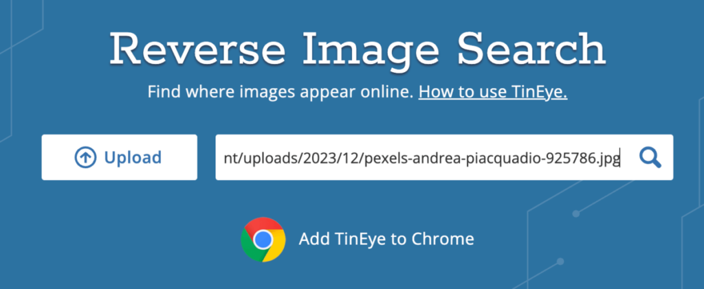 TinEye 以圖找圖反向圖片搜尋工具，找出照片來源或相似圖片