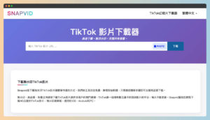 Snapvid 免費下載抖音 TikTok 影片，無浮水印高畫質，支援 MP4/MP3